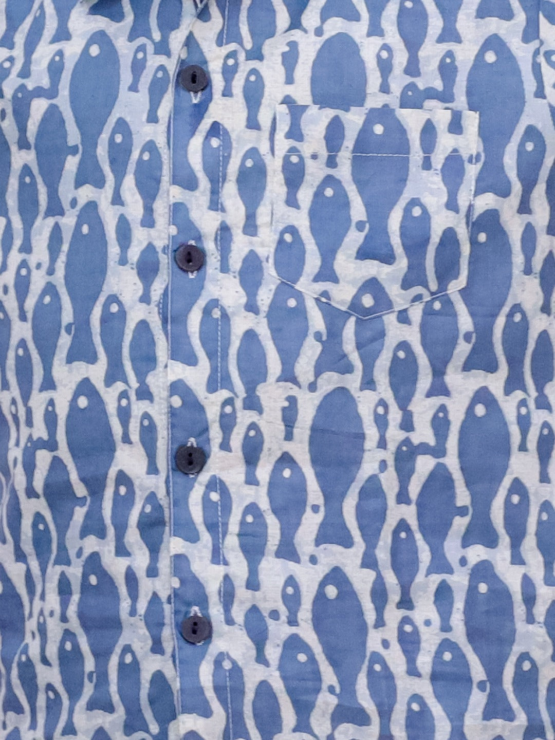 Unbind Boys' Blue Fish Print Co-ord Set